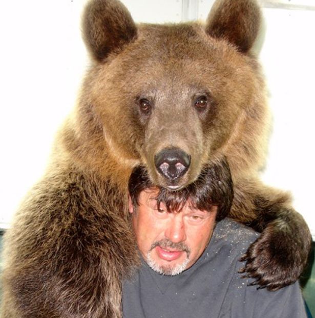 Wife bear. Медведь актер. Медведь жена. Родители медведа. Словно медведь.